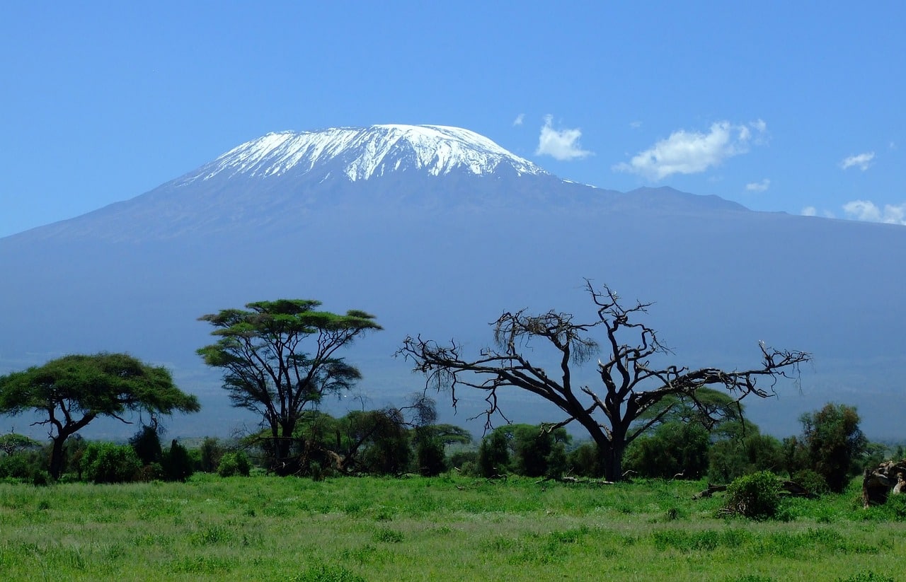 safari tanzanie prix moyen