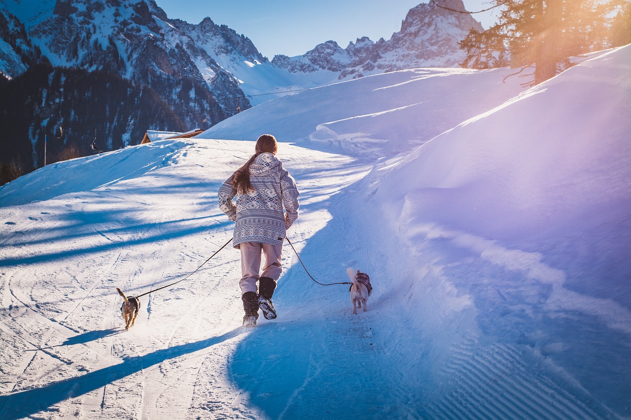 Où partir en France avec un chien en décembre?